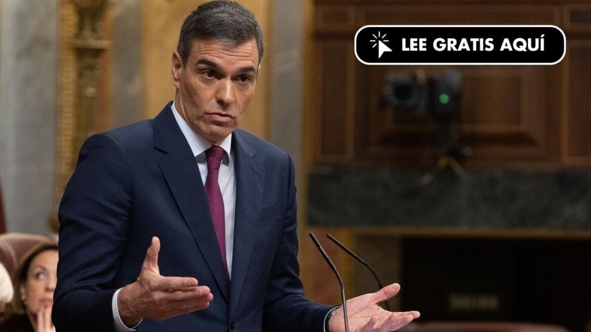 Copia-de-DISENO-NOTICIA-TWITTER-2024-02-07T095023.026.jpg