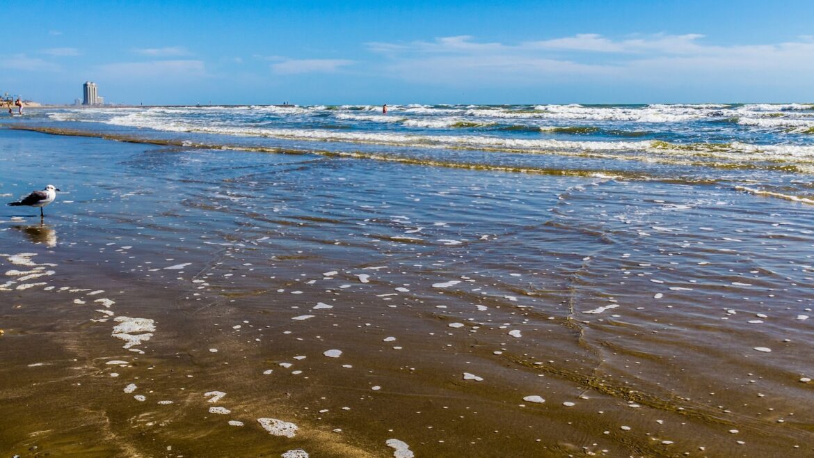 galveston-island-beach-gty-jt-240608_1717869762255_hpMain_16x9.jpg