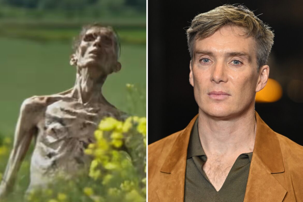 Cillian-Murphy-Zombie.jpg