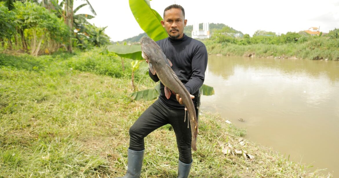 holdingcatfish001_MGL0753-1747378345_c7ca7f-1747380961.jpg