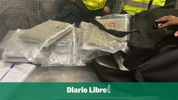 incautacion-de-marihuana-en-aeropuerto-de-punta-cana-3164e7d7-focus-0-0-608-342_wam.jpg